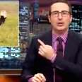 John Oliver Says Zoo Animals Are So Stressed They Can't Even Mate