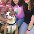 Dog Abandoned In Basement Just Got Adopted By The Best Family