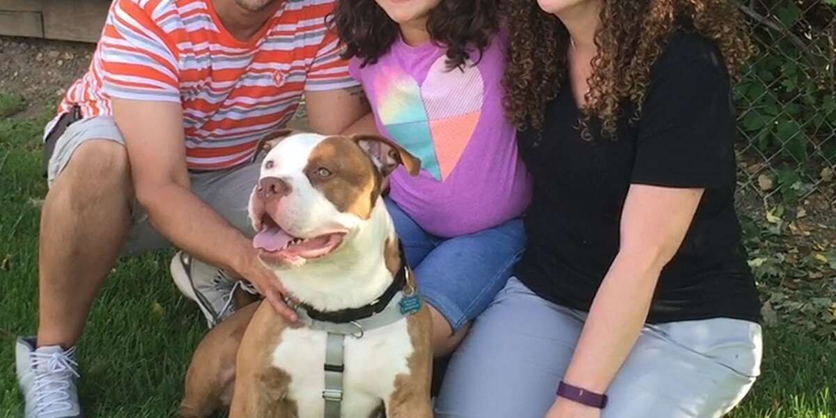 Dog Abandoned In Basement Just Got Adopted By The Best Family - The Dodo