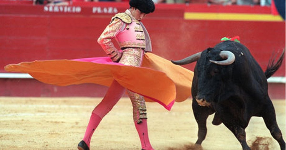 bullfighting in the sun also rises Bulls, bullfights, and bullfighters are central to the fiesta of san fermín in pamplona and, consequently, also central to ernest hemingway’s novel the sun also rises. bullfighting in the sun also rises Bulls, bullfights, and bullfighters are central to the fiesta of san fermín in pamplona and, consequently, also central to ernest hemingway’s novel the sun also rises.