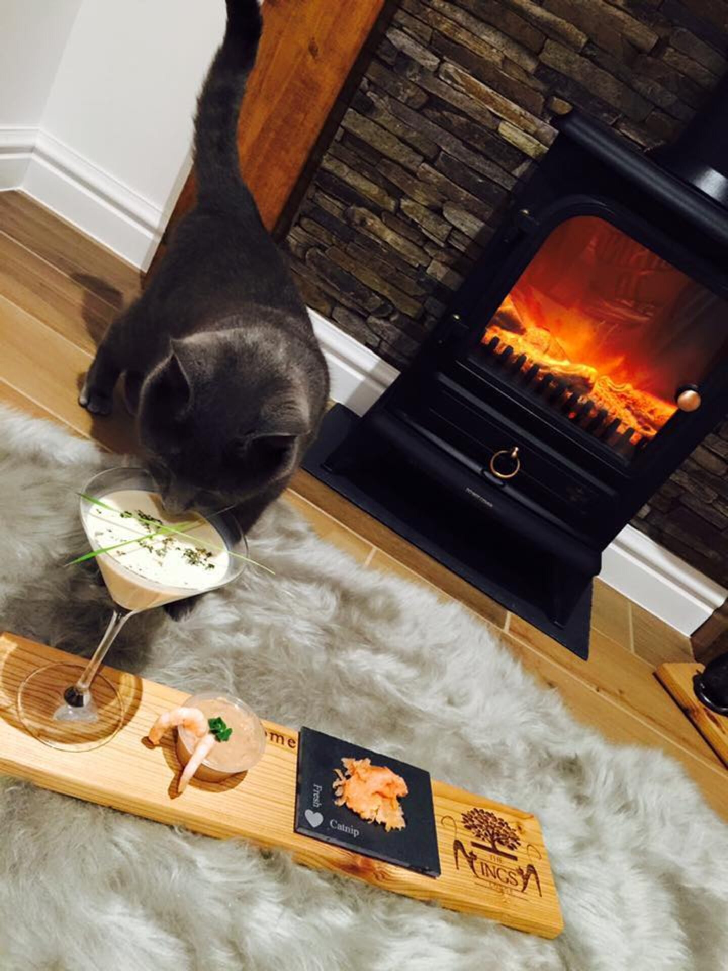 Luxury Cat Hotel Is Everything Your Cat Ever Dreamed Of The Dodo