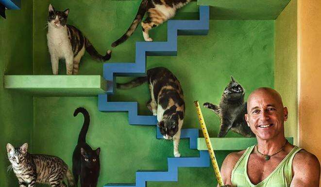 Peter cohen hot sale cat house