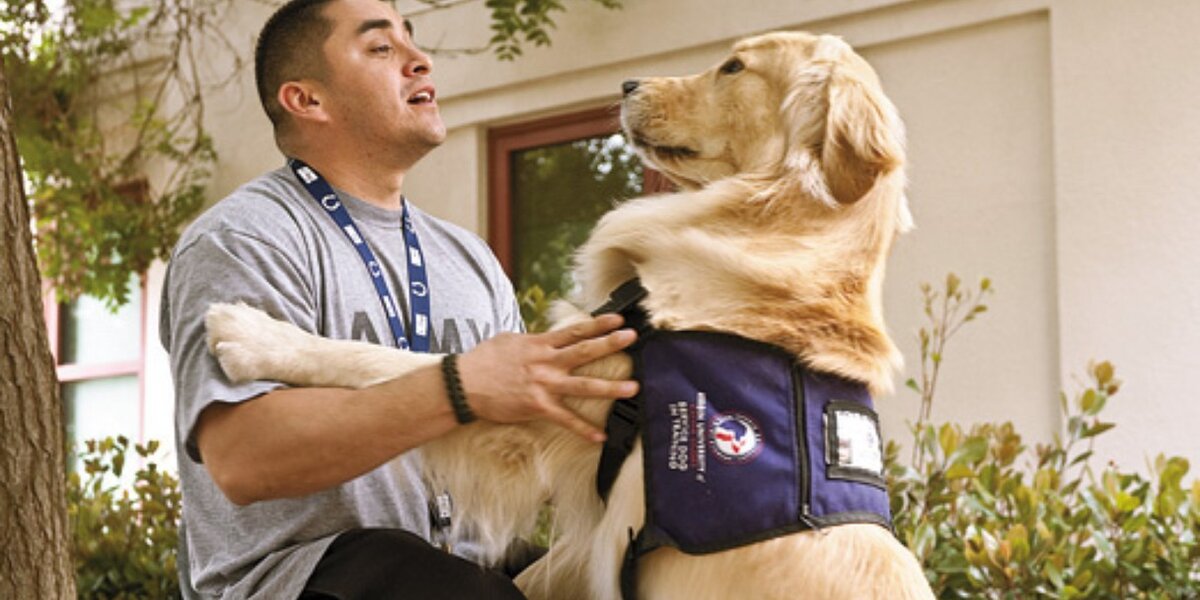 Service Dogs Real 7 Incredible Ways Service Dogs Save Humans - The Dodo