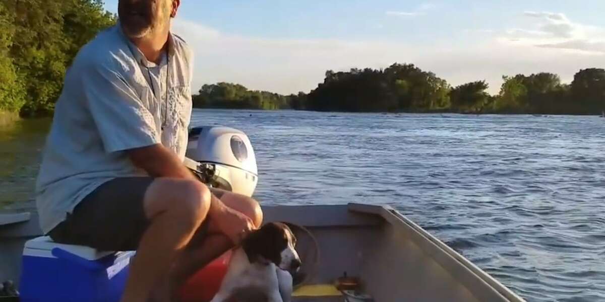 Boater Comes Across A Dog Who's Gotten Too Tired To Swim - The Dodo