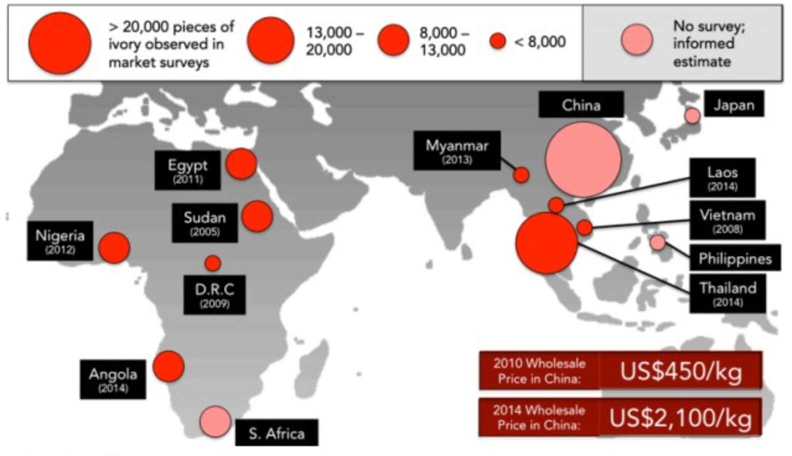 From Tusks To Trinkets Tracing The Illicit Ivory Trade Back To Its   Scale;webp=auto;jpeg Quality=60 