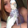 Anxious Bird Who Plucked Out Her Feathers Just Needed The Right Family