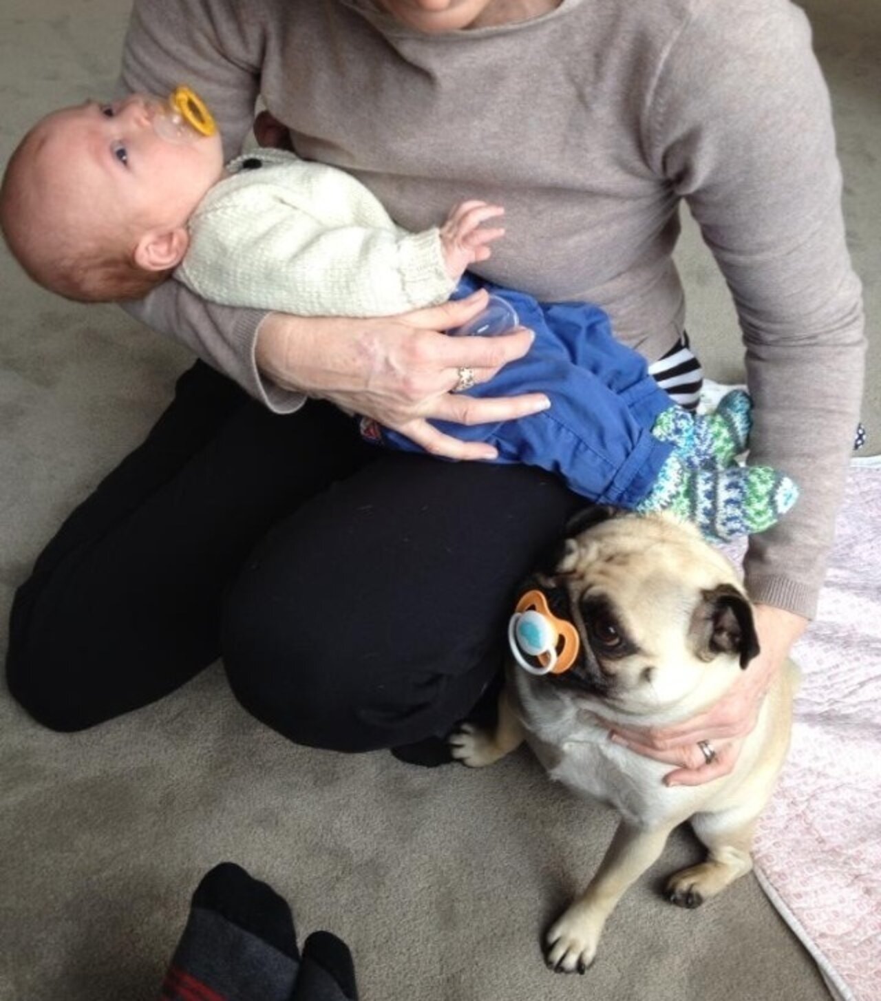 19 Dogs Who Aren't Ready To Give Up Their Pacifiers The Dodo