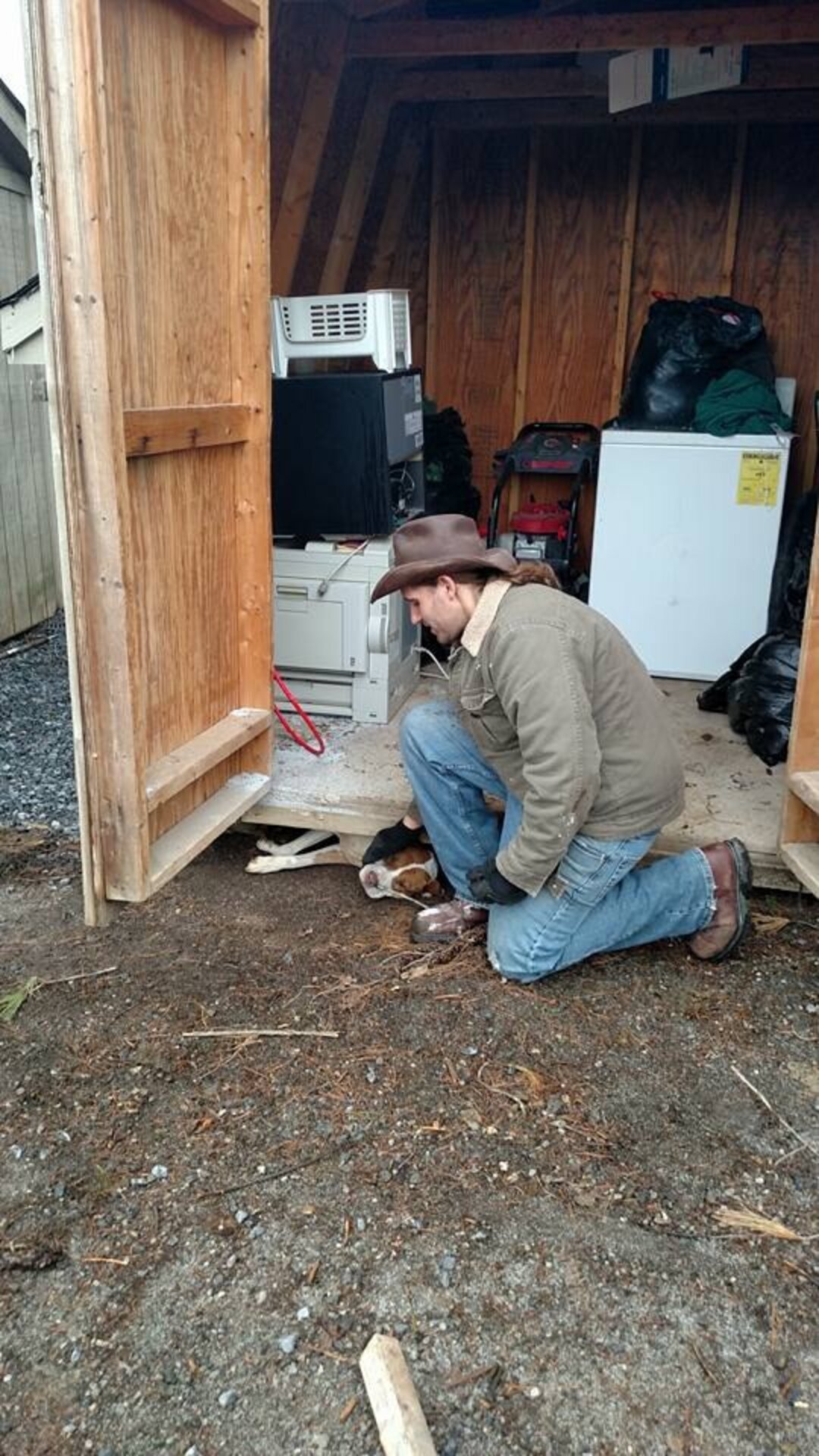 Pregnant Dog Trapped Under Shed Can't Stop Thanking The Man Who Saved