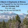 Global March 4 Elephants & Rhinos