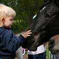 The Effect Horses Have on Children