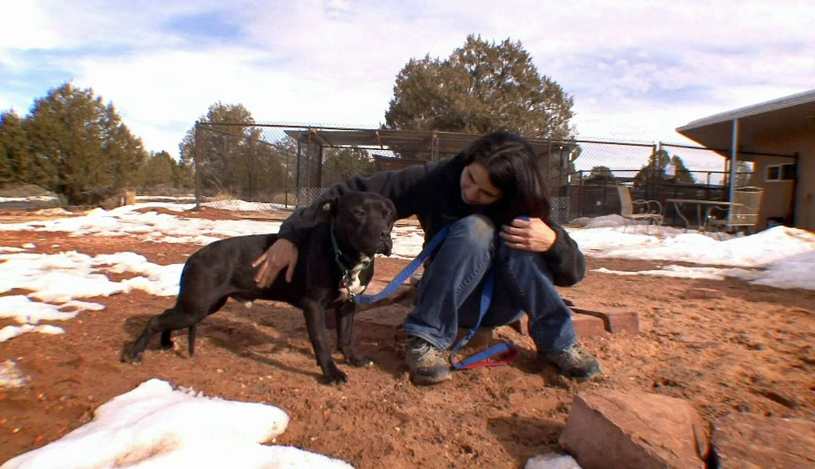 Dog Rescued From Michael Vick's Fighting Ring Is A Kissing Machine ...