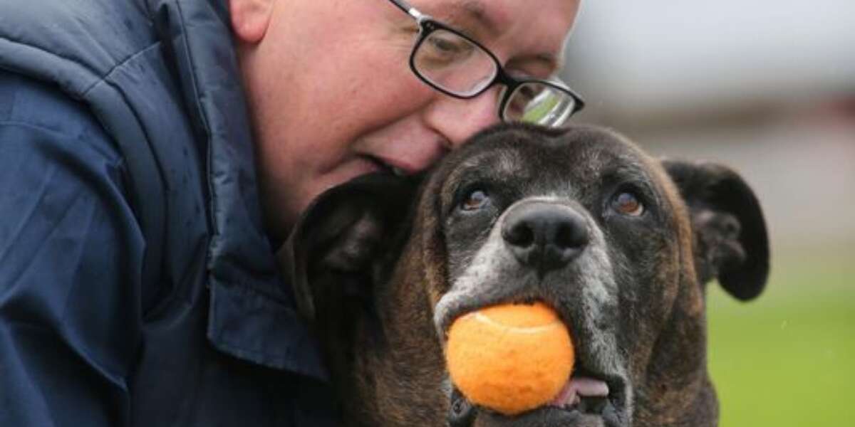 Homeless Man Walks 5 Miles Every Day To See His Dog The Dodo