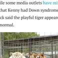 White Tigers, Kenny is dead