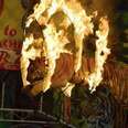 Tigers Forced To Jump Through Flaming Hoops At Popular 'Zoo'