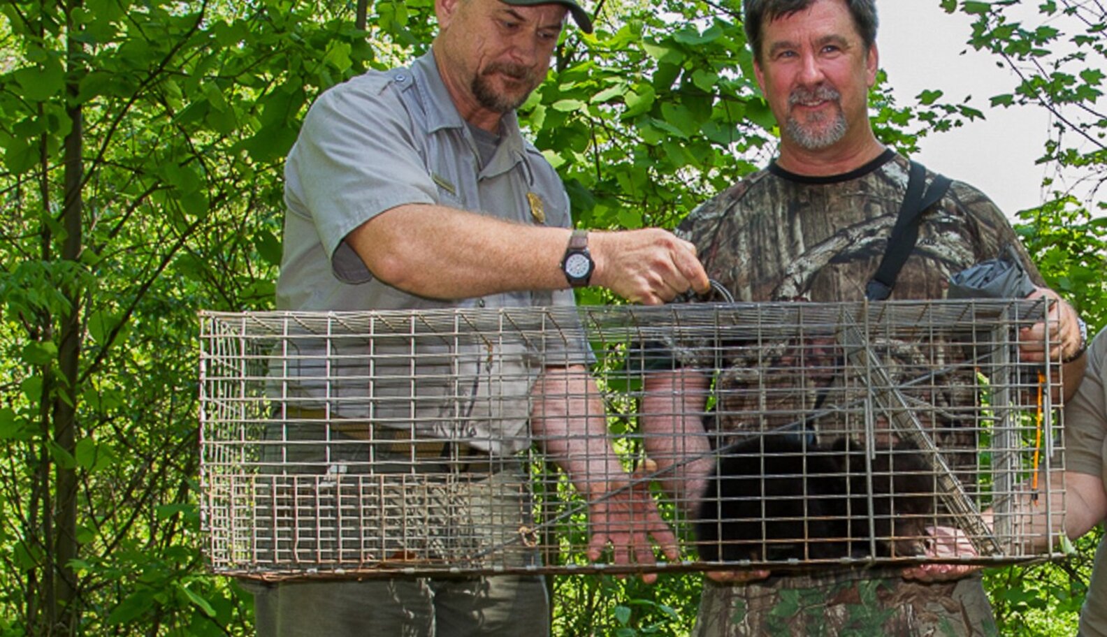 I Found An Orphaned Bear Cub And Knew I Had To Try To Save His Life ...