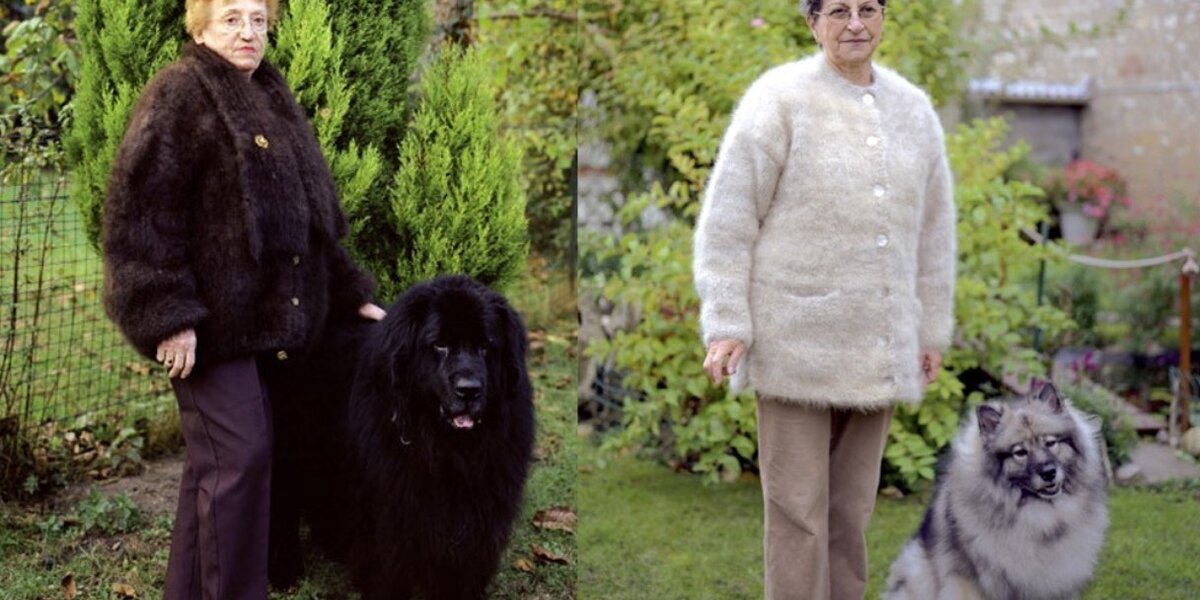 Dog hot sale shedding sweater