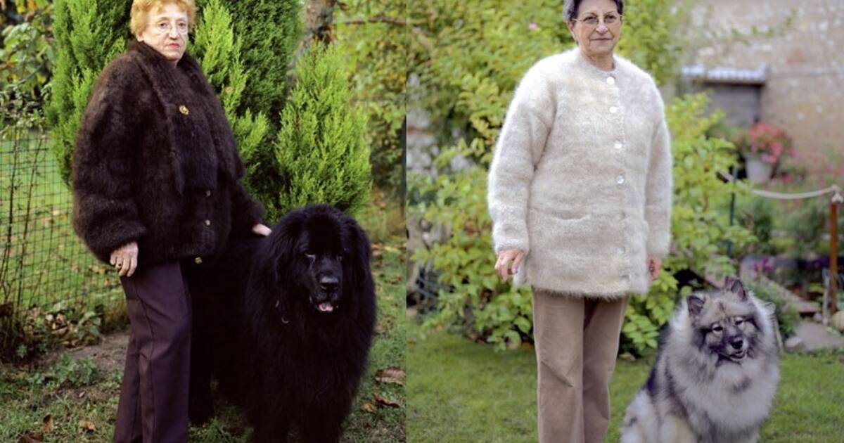 Coat made of cheap dog fur