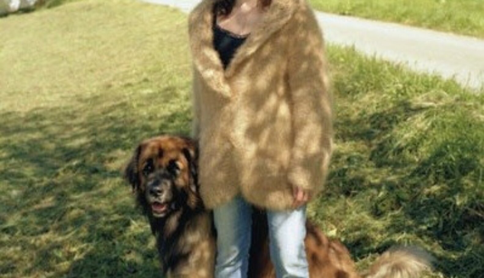 These People Are Wearing Sweaters Made From Their Dog's Shed Hair The