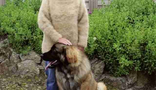 These People Are Wearing Sweaters Made From Their Dog's