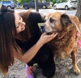 website matches people with rescue dogs