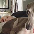 Rescue Dog Was So Scared Of Everything Until Her Baby Brother Arrived