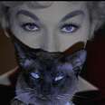 (VIDEO) Supercut: Cats In Films (Year Of The Cat)