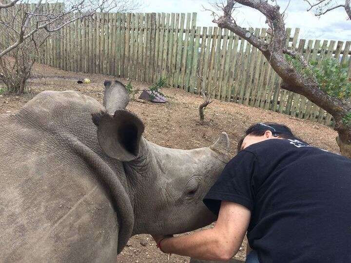 One of the rhinos at Thula Thula Orphanage