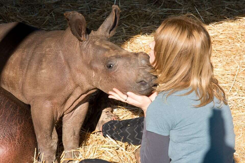 One of the rhinos at Thula Thula Orphanage