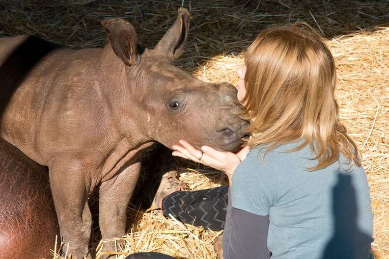 One of the rhinos at Thula Thula Orphanage