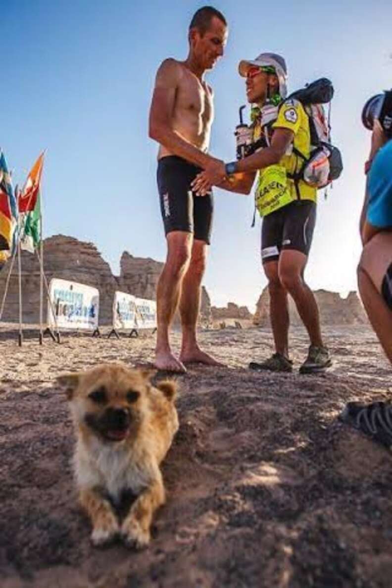 Stray Dog Decides To Join 155-Mile Race — And Ends Up With A New Dad - The Dodo
