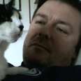Ricky Gervais Shares Sweetest Tribute To Cat Who Passed Away