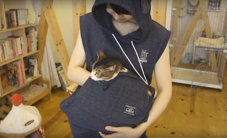 Hoodie you can 2024 carry your cat in