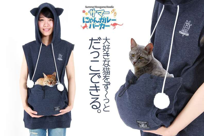 Hoodie that lets you carry cheap your cat