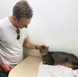 man finds cat after 11 years