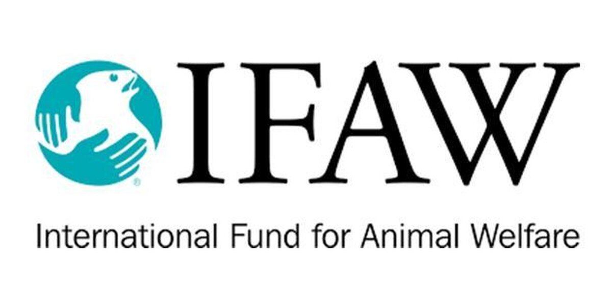 Make A Donation To IFAW - The Dodo