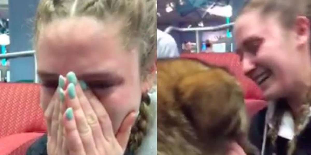 Therapy Dog Brings Stressed College Student To Tears - The Dodo