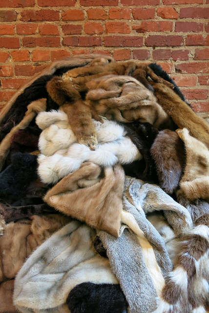 Old Fur Coat, How To Dispose Of Fur Coats Uk