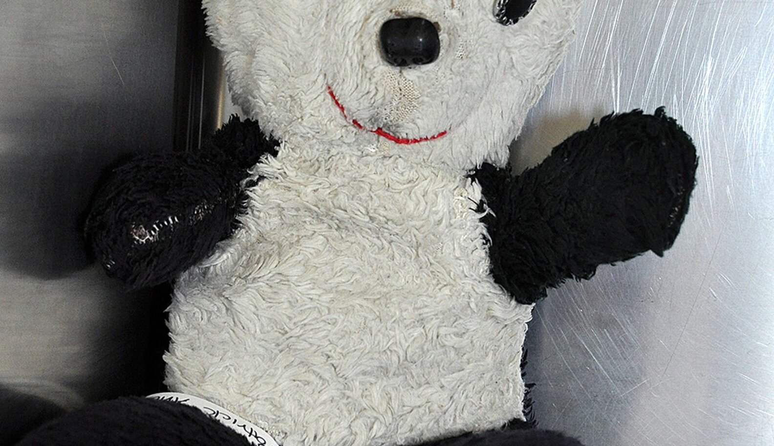 Vet Clinic Offers Free Surgery For Injured Stuffed Animals The Dodo