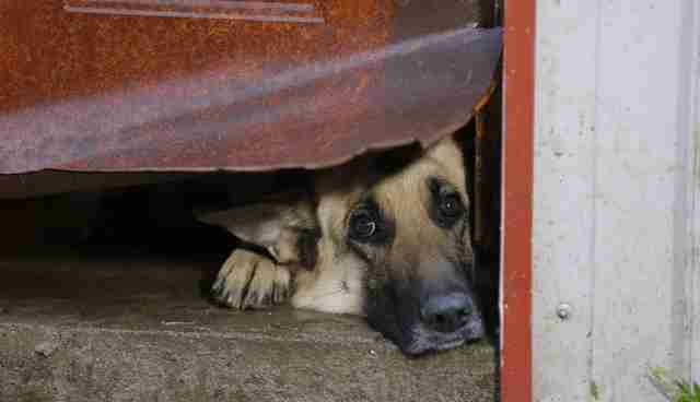 scared rescuers trapped