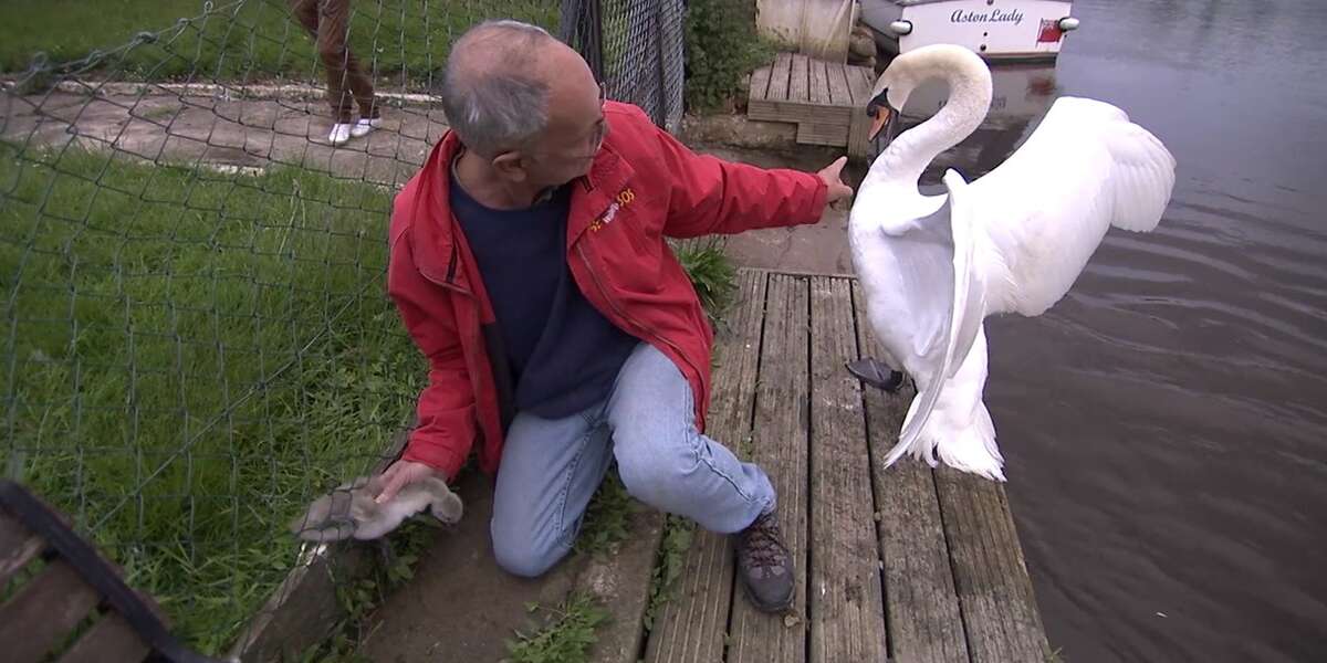 The Most Selfless Rescue Moments That Prove There Is Good In This World ...