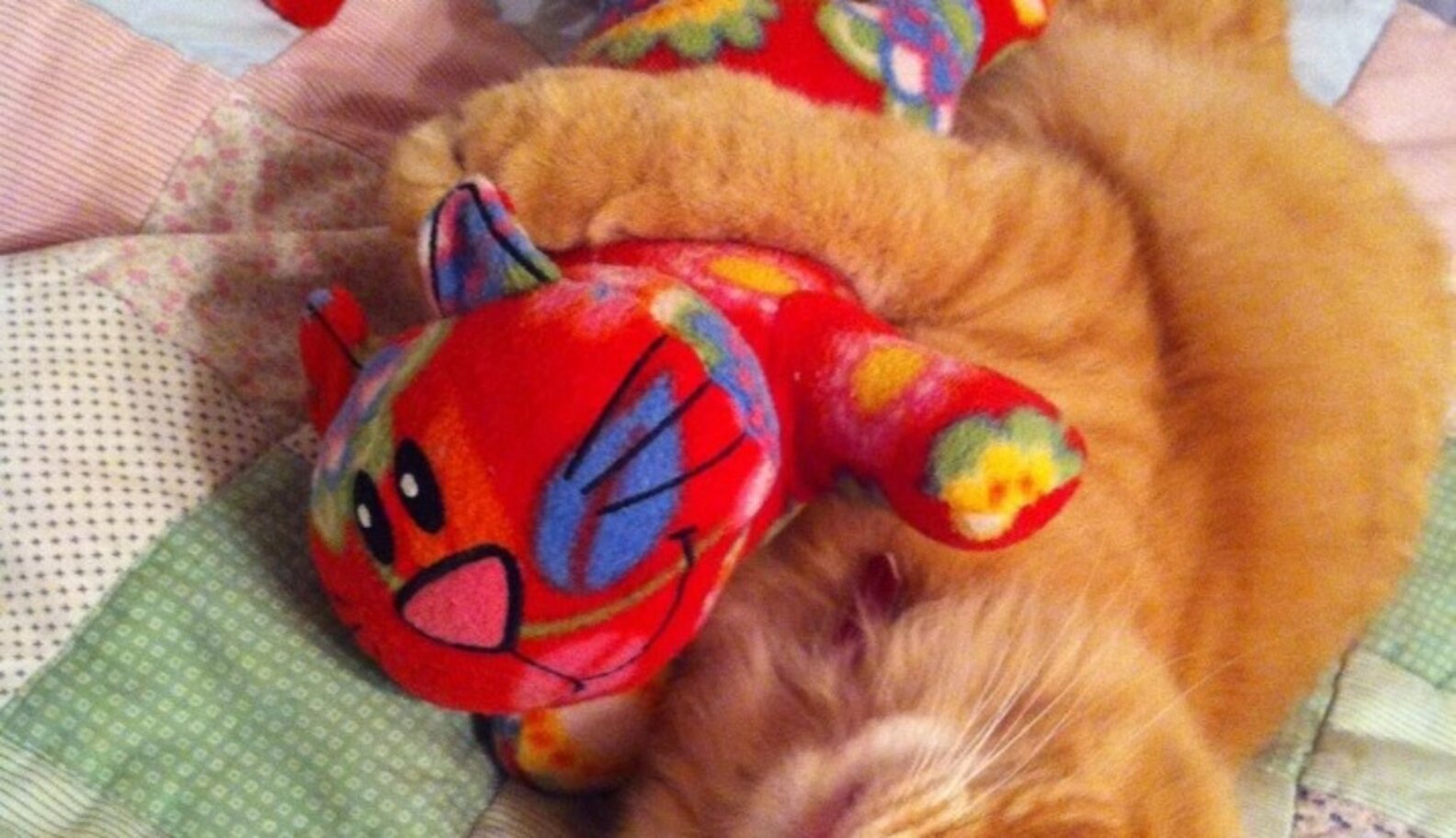 17 Pets Who Love Their Stuffed Animals The Dodo