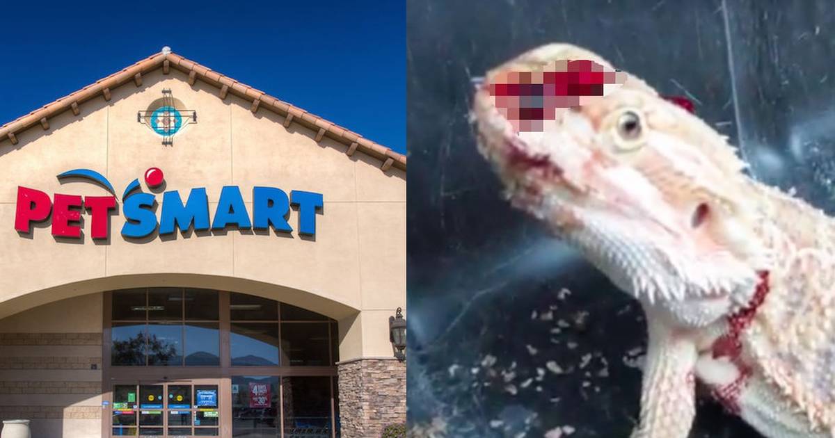 Petsmart store around here