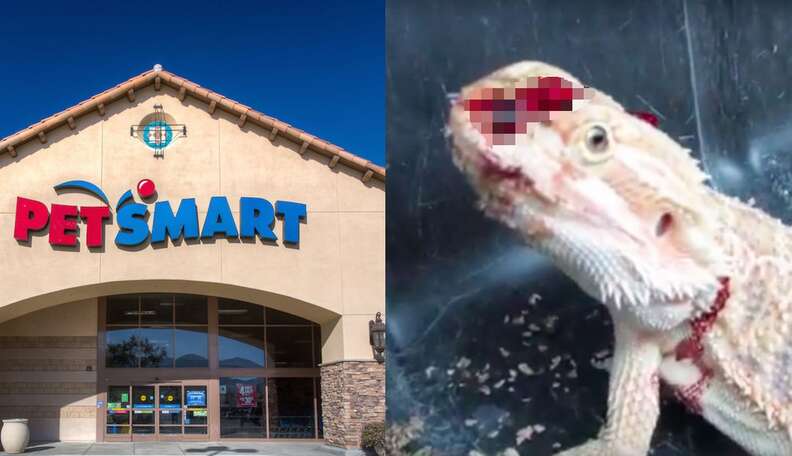 Get me 2025 to petsmart