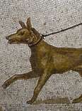 9 Touching Epitaphs Ancient Greeks And Romans Wrote For Their Deceased Dogs