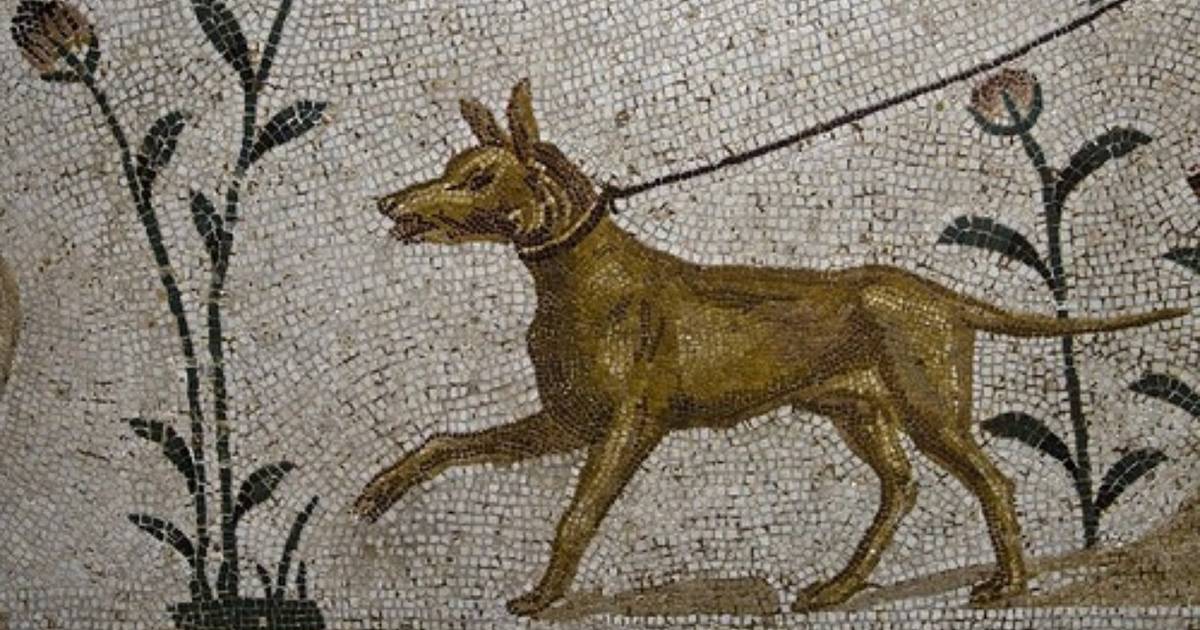 why were dogs important in ancient egypt