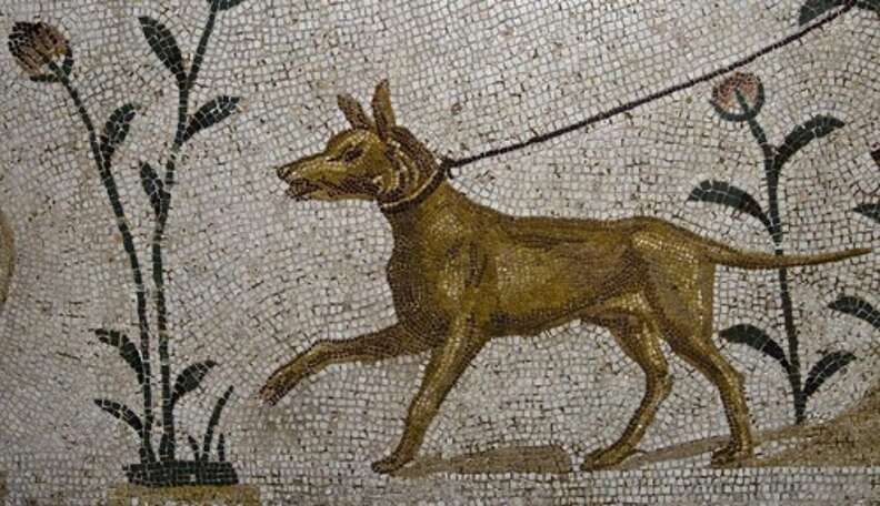 did romans have dogs as pets