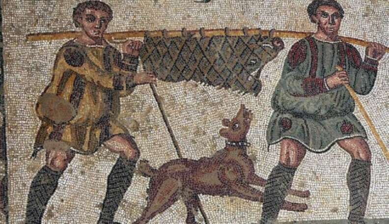 did romans have dogs as pets