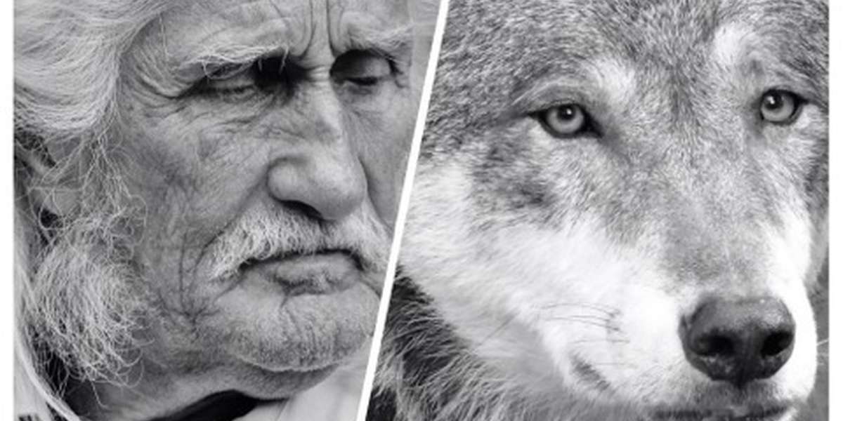 We're Too Similar To Wolves To Be Afraid Of Them - The Dodo