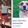 This Dog’s Former Foster Mom Is Looking Everywhere For Him