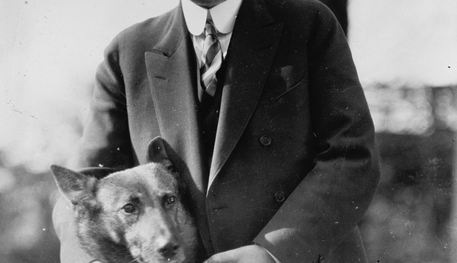 5 Great Dogs Who Changed The Course Of Presidential History The Dodo